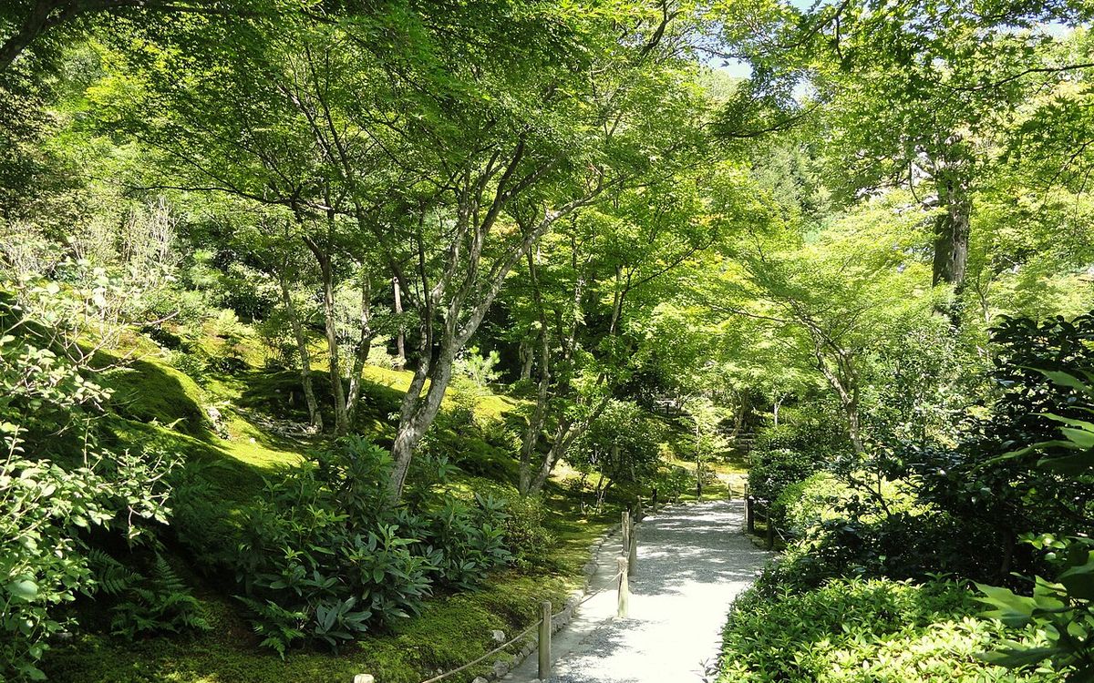 Garden path at Tenryu-ji