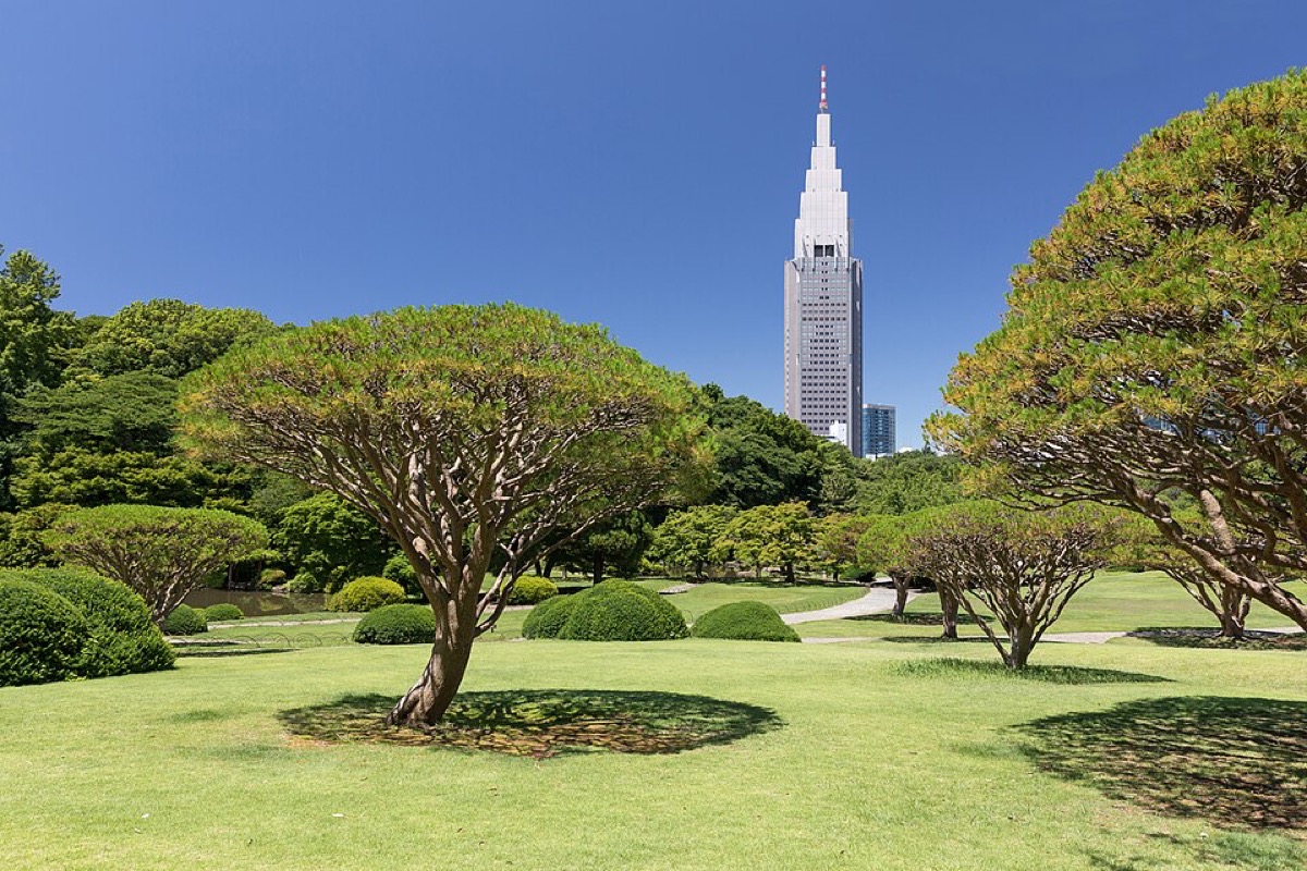 新宿御苑と代々木方面の景色