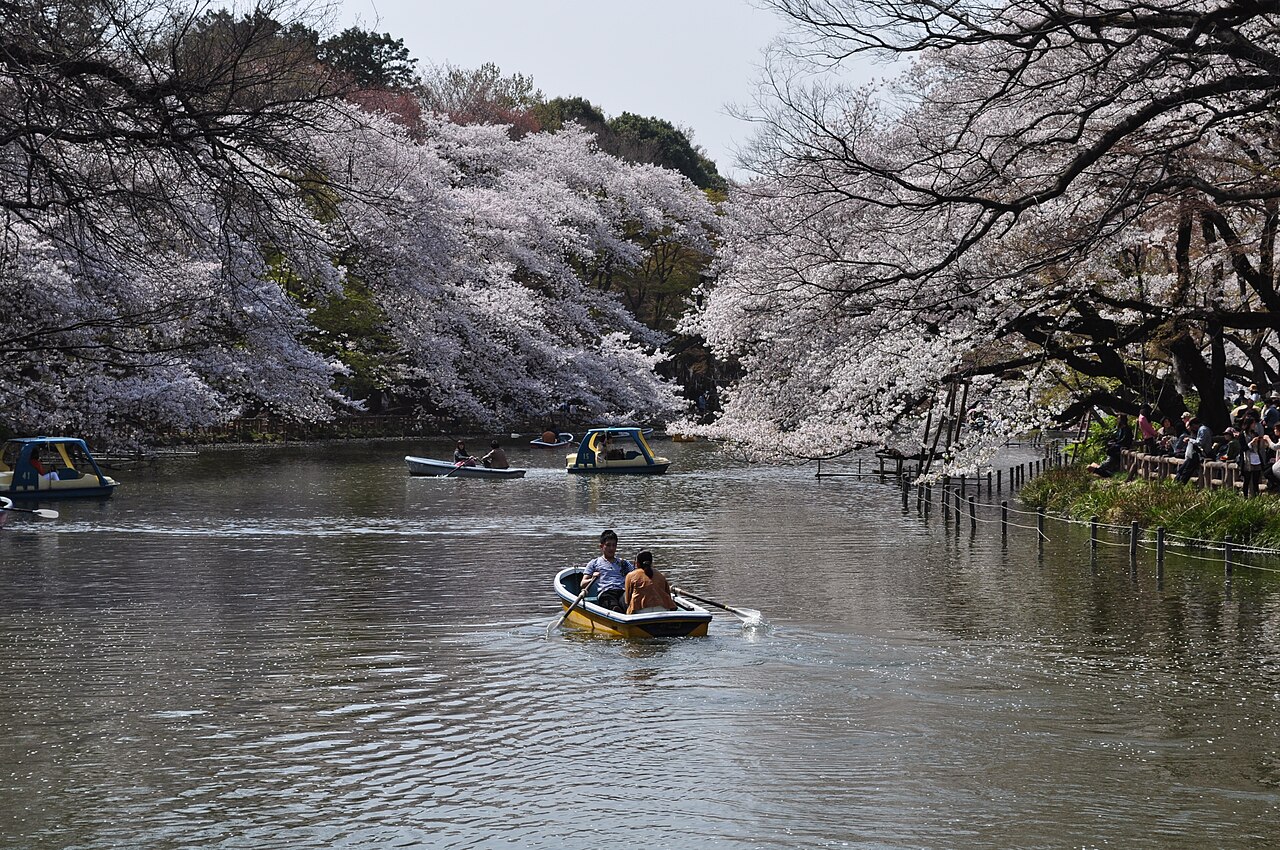 井の頭公園